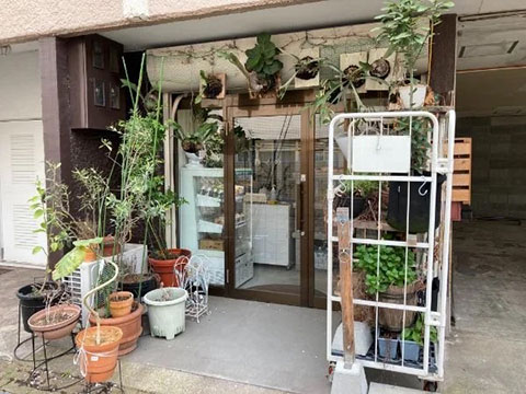 篠ノめ