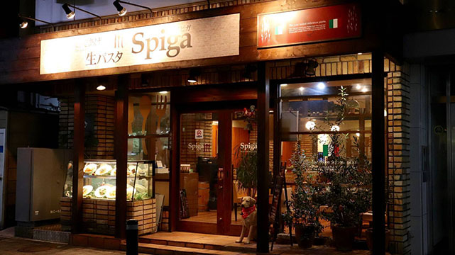 生パスタ専門店 スピガ 松戸店