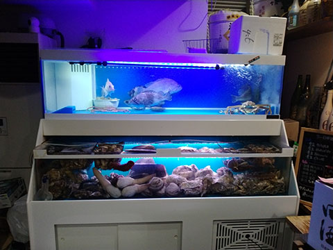 魚魚dining樹