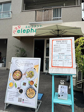 elephant 75 Iriya