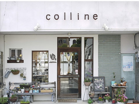 cafe colline