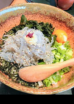 しらす屋ゆあさ湾則種