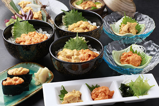 北海料理 コロポックル