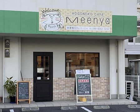 保護猫cafe Meenya