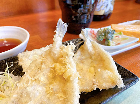 旬菜食房けんずいや