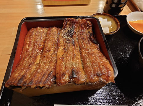 炭焼き鰻真