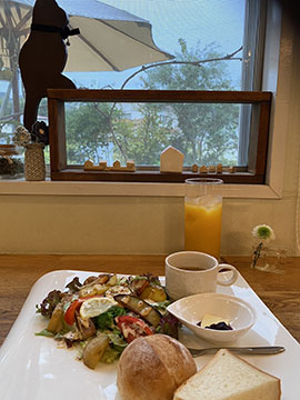 はな cafe a noeud