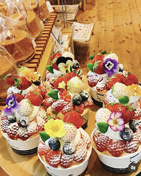 森の木いちご畑cafe