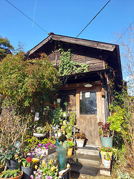 cafe ひぐらし