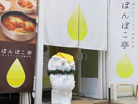 発酵ダイニング ぽんぽこ亭