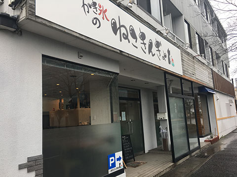 かき氷のねこきんぎょ