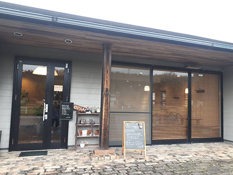 LION CAFE