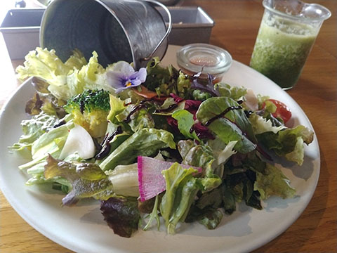 CAFE AND RESTAURANT HUTTE