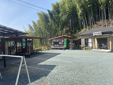 伊集園