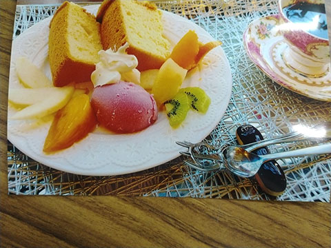 オレンジの木