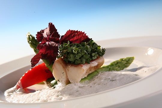 Restaurant Nature