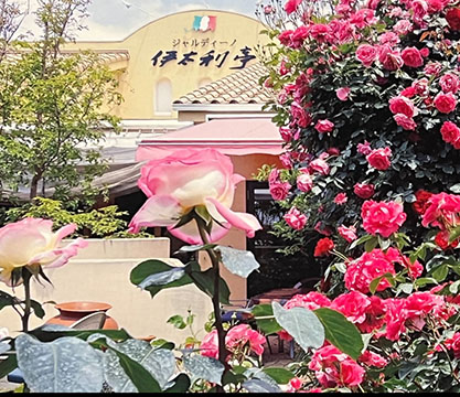 ジャルディーノ伊太利亭