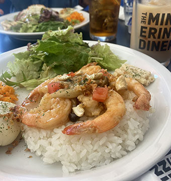 THE MINGERING DINER