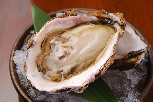 江戸YA