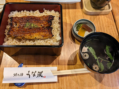 鰻と酒 うな辰