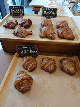 まごころ米て