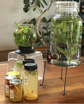toiro tea STAND.