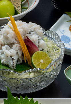 季節料理 一冨久