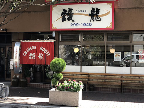 靉龍