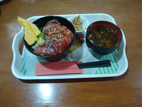 どんぐりの森