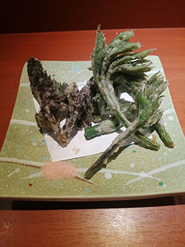 呑み処 灯