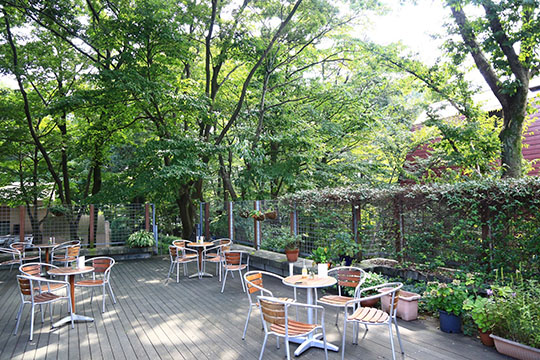 CAZE CAFE