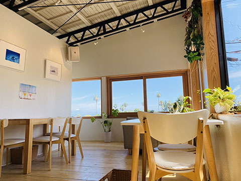 AOSHIMA COFFEE