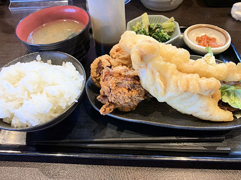 定食酒場 灯
