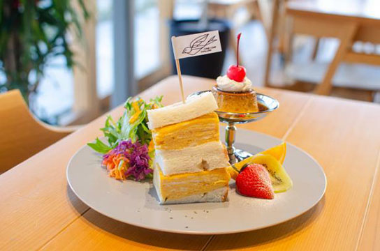 カムカムスワロー