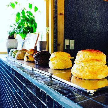 塩屋SCONE