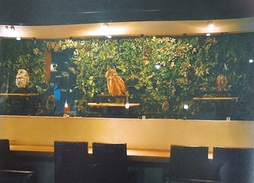 フクロウカフェ クルー