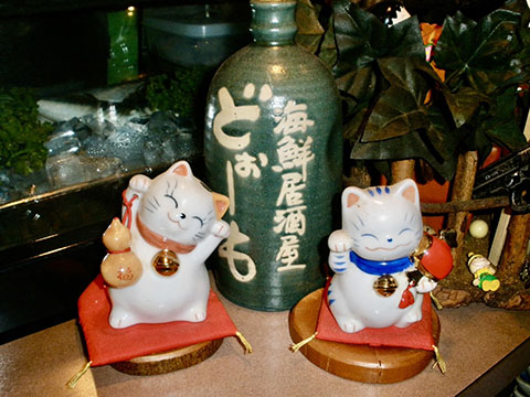 海鮮居酒屋どぉーも