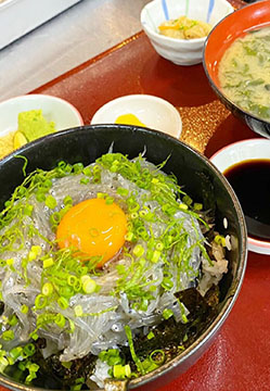 北灘漁協直送とれたて食堂