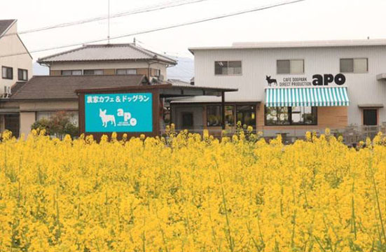 農家カフェ&ドッグラン apo(アポ)