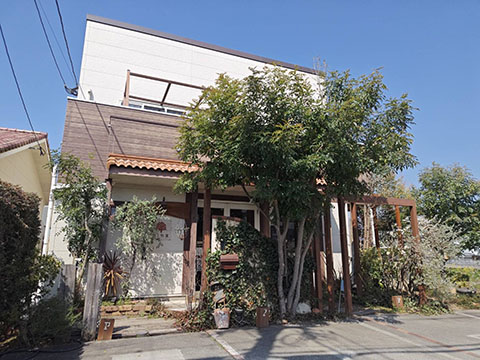 ケーキ工房 かしの実