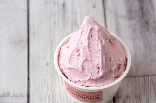 JAPANESE GELATERIA ASANOHA