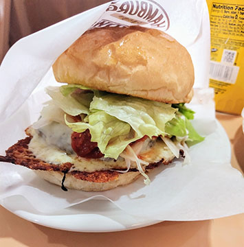 バーガーハウス ピコピコ