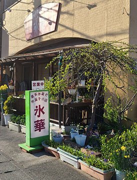 氷華