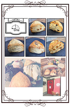 chitose sconecafe Time