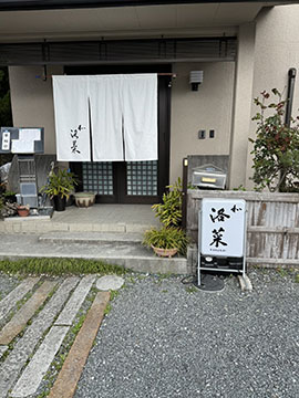 洛菜