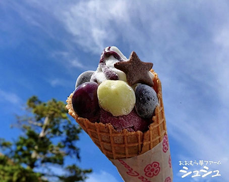 おおむら夢ファームシュシュ