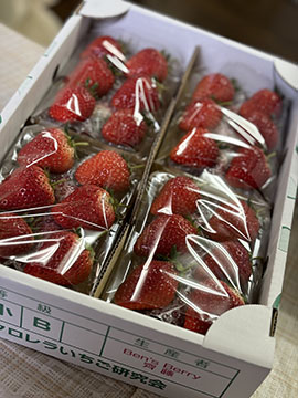Ben’s  Berry