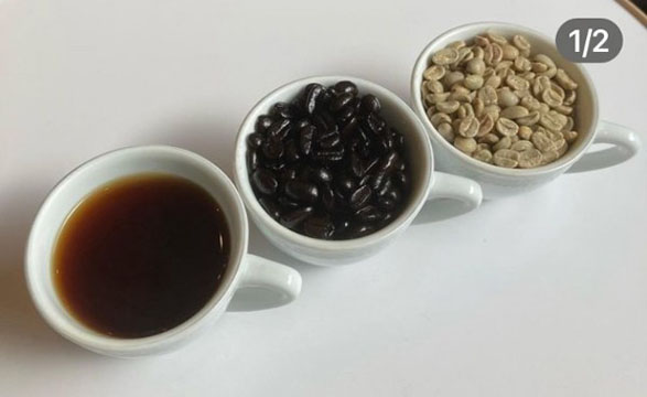 M COFFEE ROASTERS