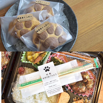 Cafe&Kitchen TERRIER