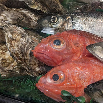 居酒屋 浜っぺ